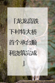 龙龙高铁下村特大桥首个承台顺利浇筑完成