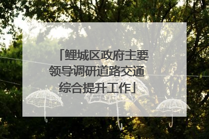 鲤城区政府主要领导调研道路交通综合提升工作