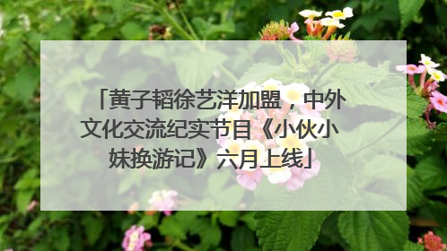 黄子韬徐艺洋加盟，中外文化交流纪实节目《小伙小妹换游记》六月上线