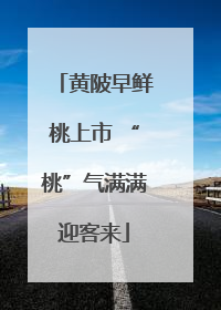 黄陂早鲜桃上市 “桃”气满满迎客来
