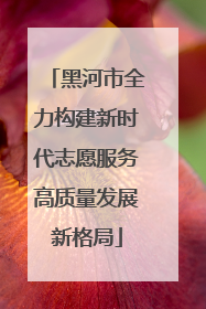 黑河市全力构建新时代志愿服务高质量发展新格局