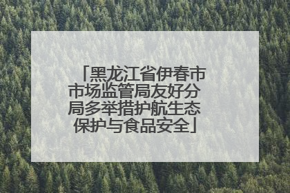 黑龙江省伊春市市场监管局友好分局多举措护航生态保护与食品安全