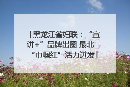 黑龙江省妇联：“宣讲+”品牌出圈 最北“巾帼红”活力迸发