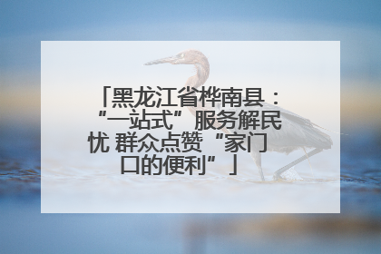 黑龙江省桦南县：“一站式”服务解民忧 群众点赞“家门口的便利”