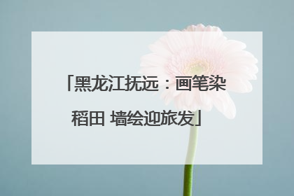 黑龙江抚远：画笔染稻田 墙绘迎旅发