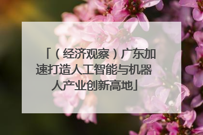 （经济观察）广东加速打造人工智能与机器人产业创新高地