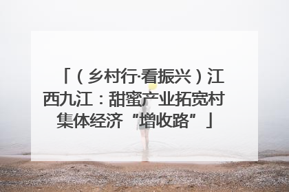 （乡村行·看振兴）江西九江：甜蜜产业拓宽村集体经济“增收路”