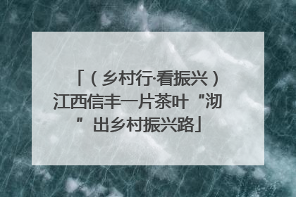 （乡村行·看振兴）江西信丰一片茶叶“沏”出乡村振兴路