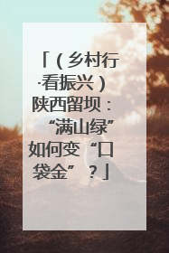（乡村行·看振兴）陕西留坝：“满山绿”如何变“口袋金”？