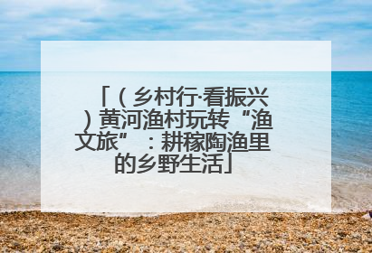 （乡村行·看振兴）黄河渔村玩转“渔文旅”：耕稼陶渔里的乡野生活