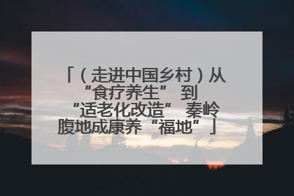 （走进中国乡村）从 “食疗养生” 到 “适老化改造” 秦岭腹地成康养“福地”