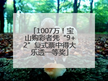 1007万！宝山购彩者凭“9+2”复式票中得大乐透一等奖