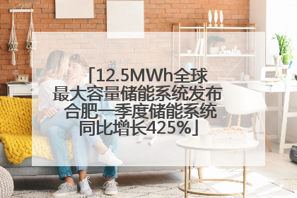 12.5MWh全球最大容量储能系统发布 合肥一季度储能系统同比增长425%