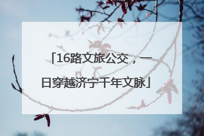 16路文旅公交，一日穿越济宁千年文脉