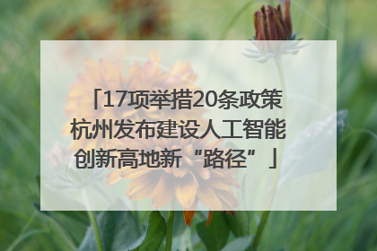 17项举措20条政策 杭州发布建设人工智能创新高地新“路径”