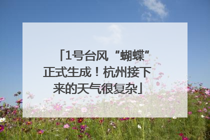1号台风“蝴蝶”正式生成！杭州接下来的天气很复杂