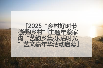2025“乡村好时节·游购乡村”主题年蔡家沟“艺韵乡集·乐活时光”艺文嘉年华活动启幕