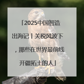 2025中国智造出海记丨关税风波下，那些在世界最前线开疆拓土的人
