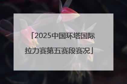 2025中国环塔国际拉力赛第五赛段赛况