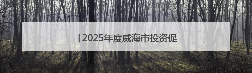 2025年度威海市投资促进中心招聘优秀人才公告