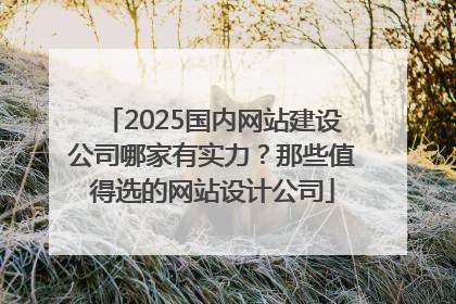 2025国内网站建设公司哪家有实力？那些值得选的网站设计公司