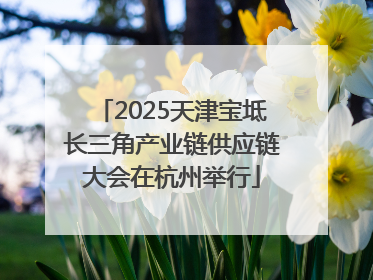 2025天津宝坻长三角产业链供应链大会在杭州举行