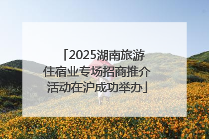 2025湖南旅游住宿业专场招商推介活动在沪成功举办