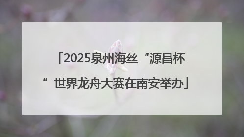 2025泉州海丝“源昌杯”世界龙舟大赛在南安举办