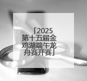 2025第十五届金鸡湖端午龙舟赛开赛