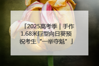2025高考季｜手作1.68米巨型向日葵预祝考生“一举夺魁”