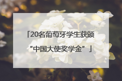 20名葡萄牙学生获颁“中国大使奖学金”