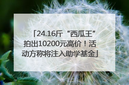 24.16斤“西瓜王”拍出10200元高价！活动方称将注入助学基金