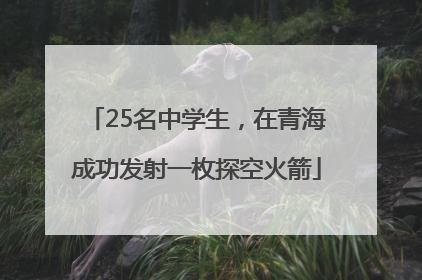 25名中学生，在青海成功发射一枚探空火箭