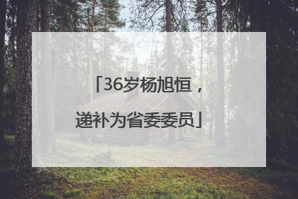 36岁杨旭恒，递补为省委委员