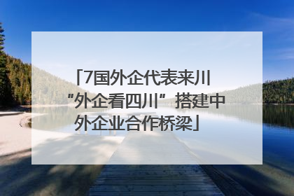 7国外企代表来川 “外企看四川”搭建中外企业合作桥梁