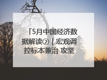 5月中国经济数据解读②｜宏观调控标本兼治 攻坚高质量发展