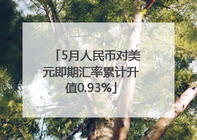 5月人民币对美元即期汇率累计升值0.93%