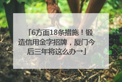 6方面18条措施！锻造信用金字招牌，厦门今后三年将这么办→