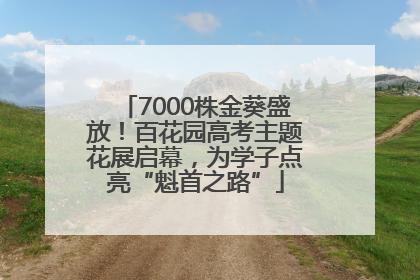 7000株金葵盛放！百花园高考主题花展启幕，为学子点亮“魁首之路”