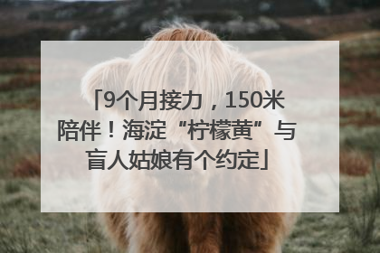 9个月接力，150米陪伴！海淀“柠檬黄”与盲人姑娘有个约定