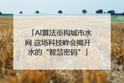 AI算法重构城市水网 这场科技峰会揭开水的“智慧密码”
