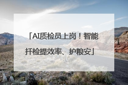 AI质检员上岗！智能扦检提效率、护粮安