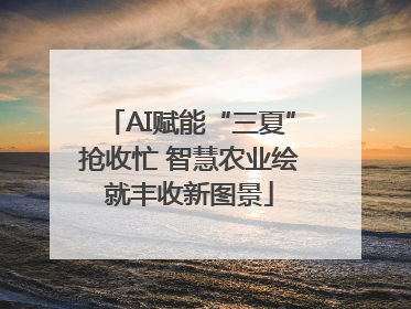 AI赋能“三夏”抢收忙 智慧农业绘就丰收新图景