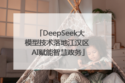 DeepSeek大模型技术落地江汉区 AI赋能智慧政务