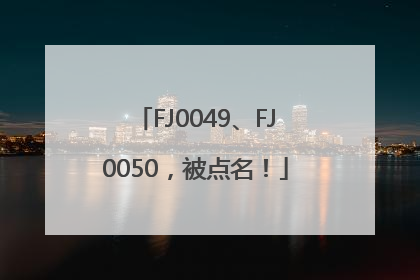 FJ0049、FJ0050，被点名！