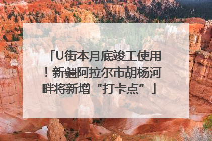 U街本月底竣工使用！新疆阿拉尔市胡杨河畔将新增“打卡点”